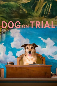 Movie Dog on Trial